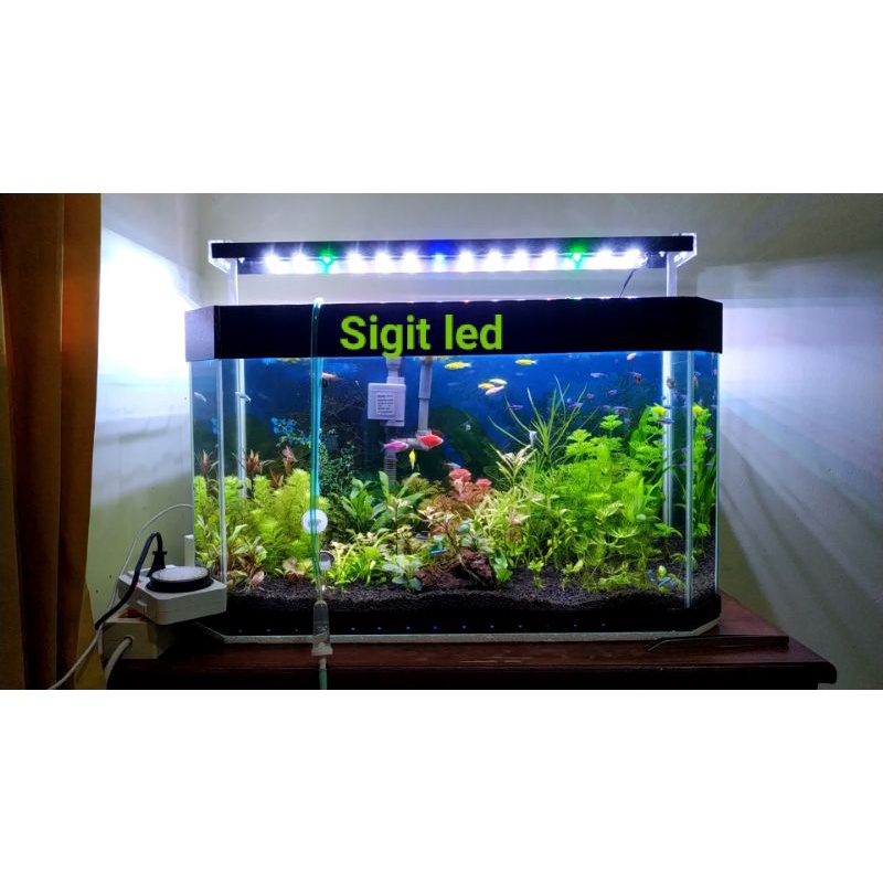 Jual Led Hpl Aquascape Watt Cm Shopee Indonesia