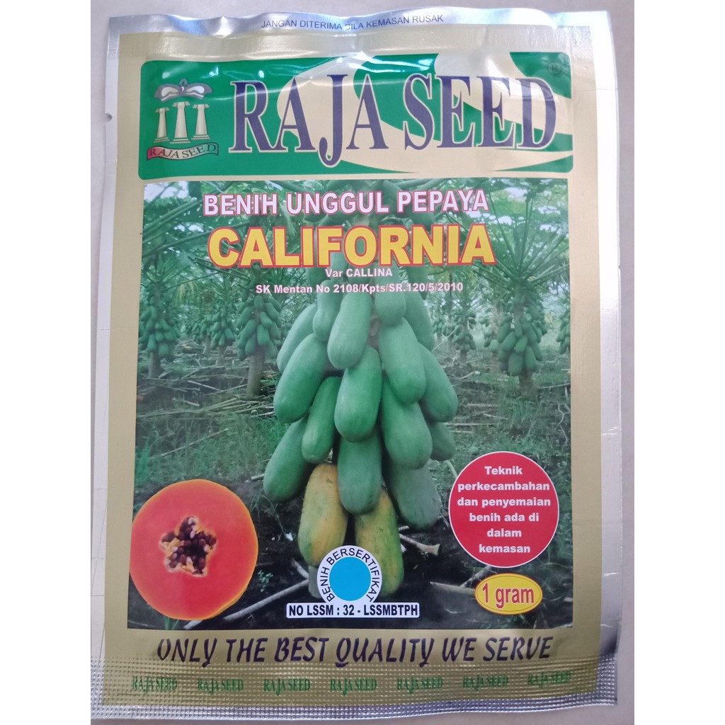 Jual Benih Pepaya CALIFORNIA RAJA SEED isi 1 gram Bibit Buah | Shopee ...