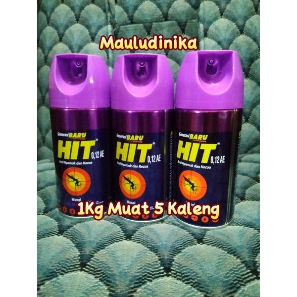 Jual Hit Expert aerosol 200ml orange dan lily blossom | Shopee Indonesia