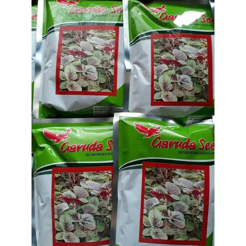 Jual PUSAT BENIH TERLENGKAP. BENIH BAYAM LORENG 500 GR SE SHOPEE ...