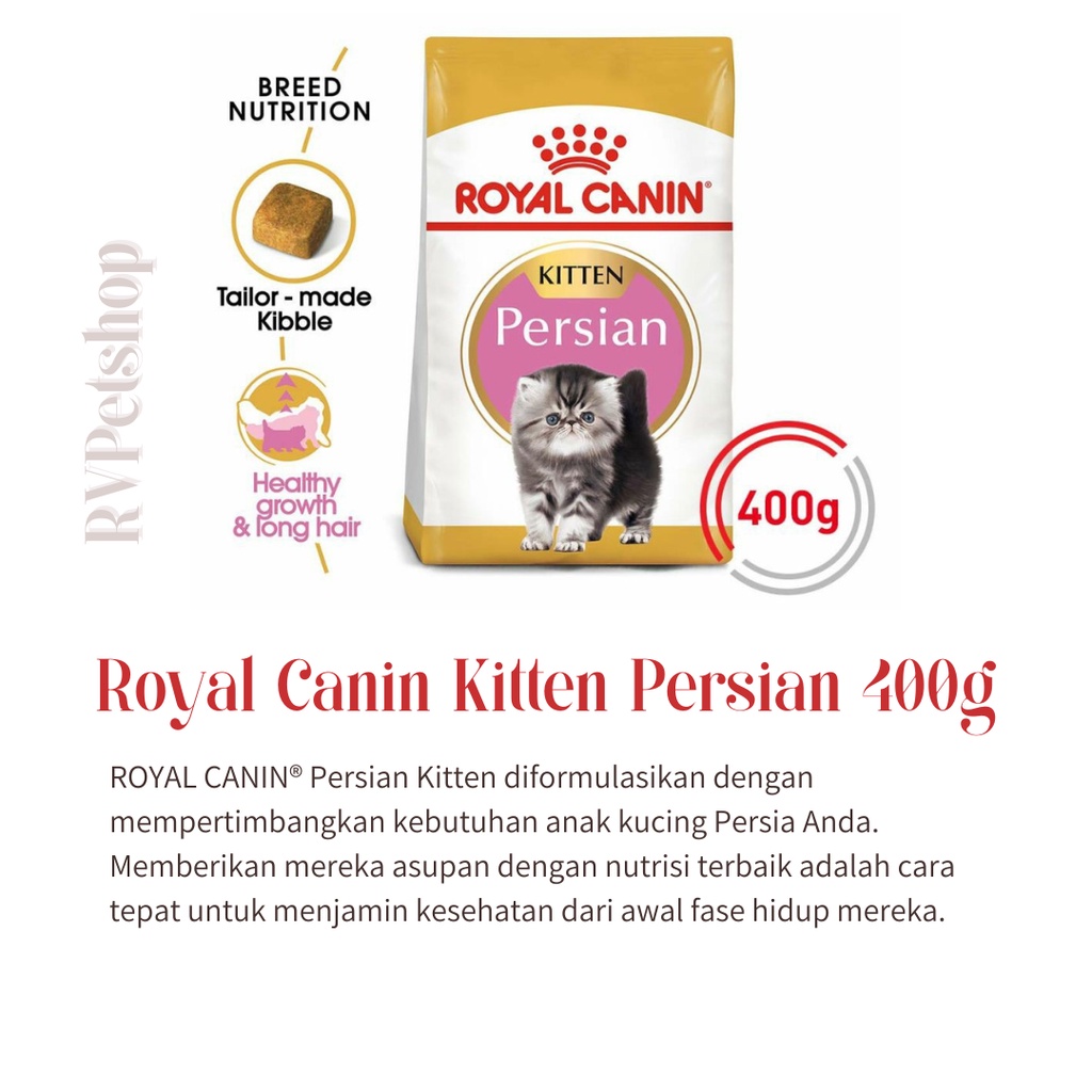 Jual Royal Canin Kitten Persian 400gr cat food RC kitten Persian 32 Terlaris Terfavorit Shopee Indonesia