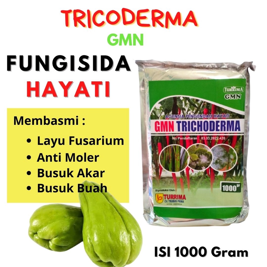 Jual Tricoderma Fungisida Hayati Anti Busuk Buah Dan Akar Pupuk Organik Anti Layu Fusarium 