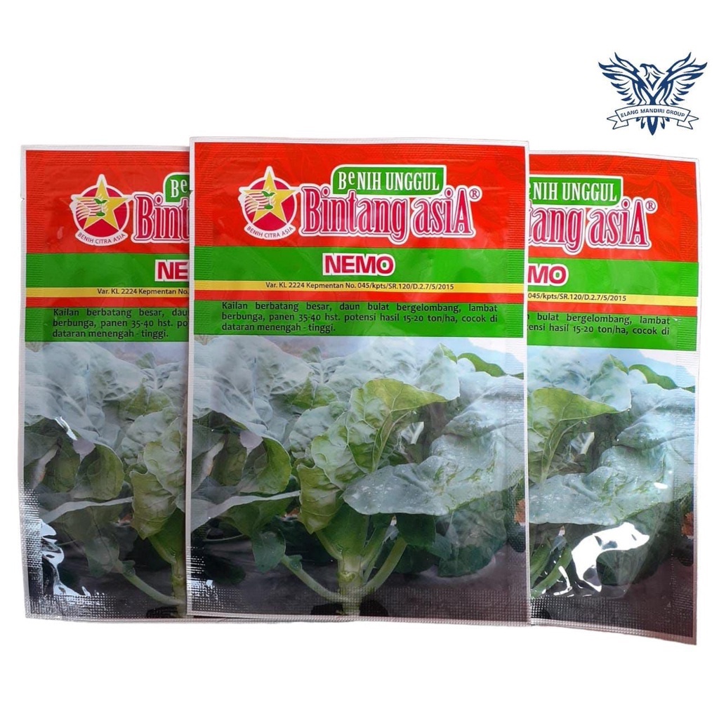 Nemo 10gr Benih Sayuran Sawi Hijau Kailan Bintang Asia 100% Original Nita Sakura