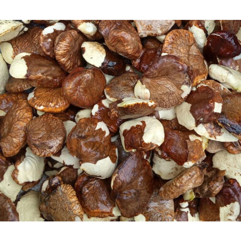 Jual Gayam Super besar 1 kg | Shopee Indonesia