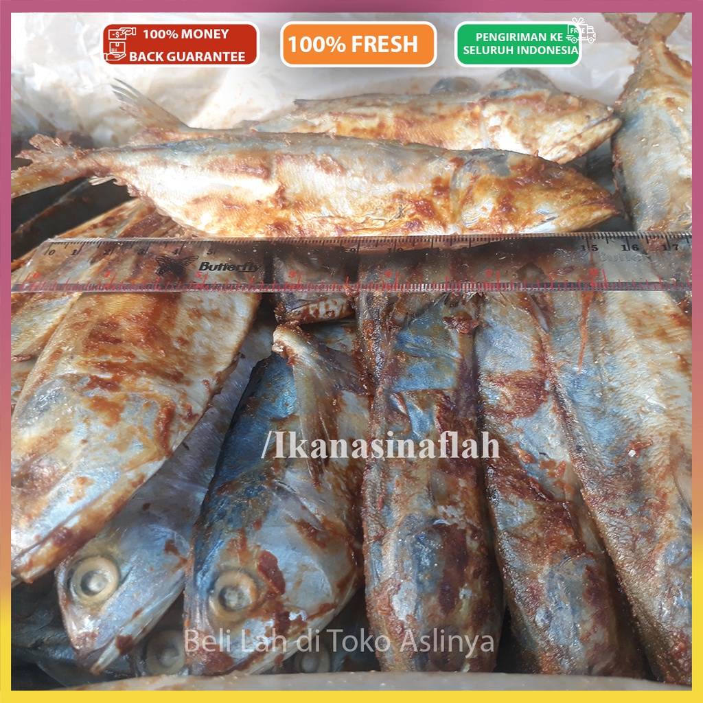 Jual Ikan Asin Peda Merah Beli Beli Produsen Tangan Pertama Shopee Indonesia