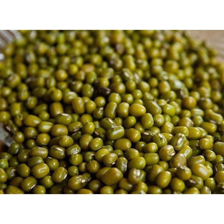 Jual Kacang Hijau Ijo 1 KG | Shopee Indonesia
