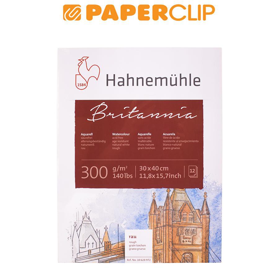 Jual KERTAS CAT AIR HAHNEMUHLE BRITANNIA 10628972 Shopee Indonesia