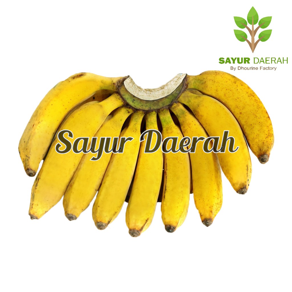 Jual PISANG RAJA CURAH 1 SISIR | SAYUR DAERAH | Shopee Indonesia