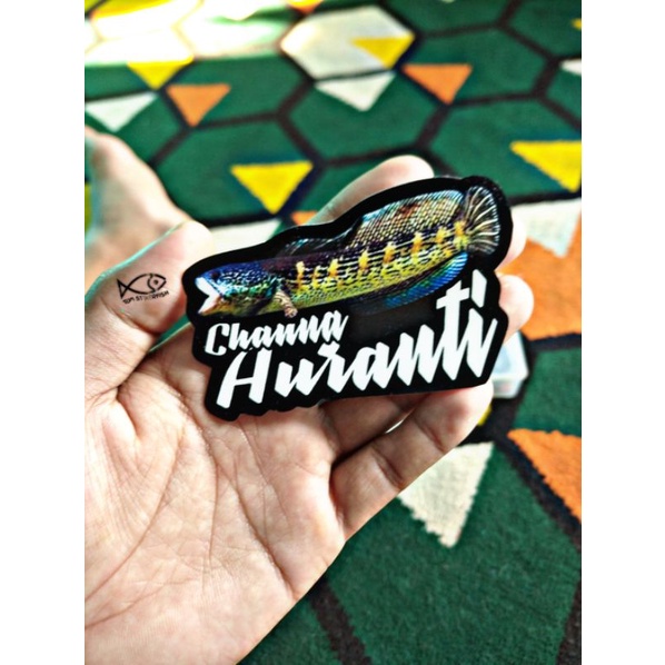 Jual Stiker Channa Auranti | Shopee Indonesia