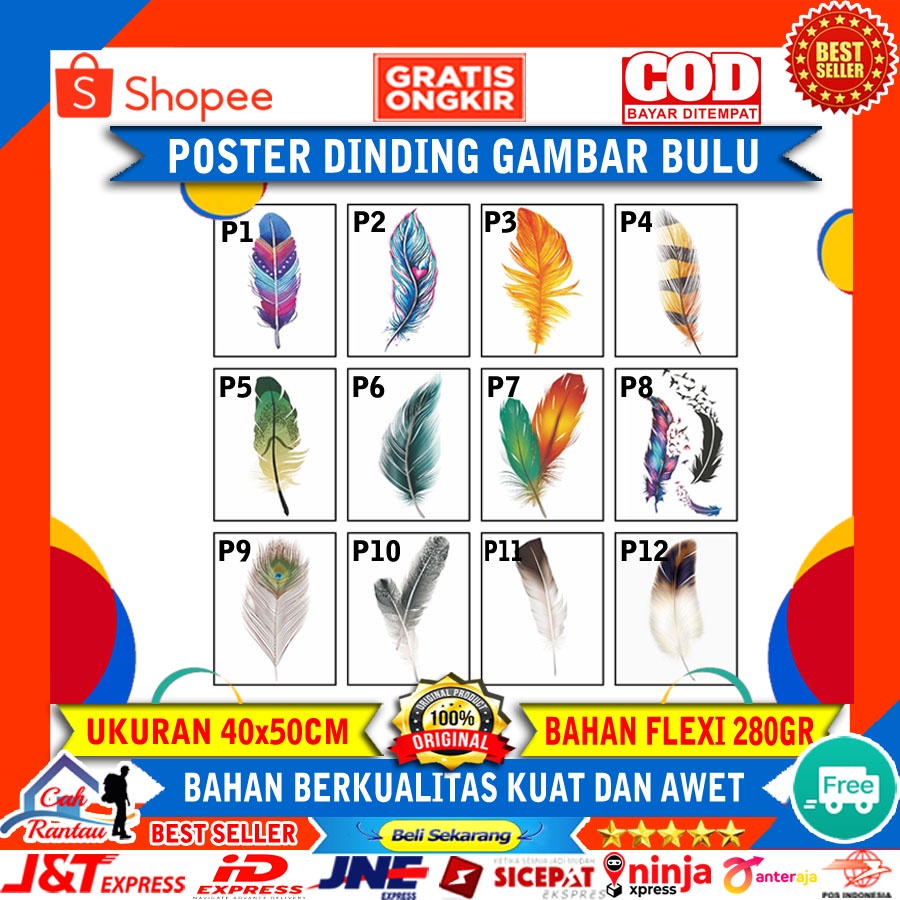 Jual Poster Hiasan Dekorasi Dinding Gambar Bulu Ayam Warna Warni Shopee Indonesia 3247