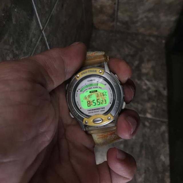 Casio protrek online ley