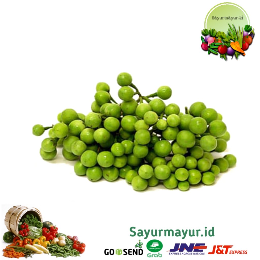 Jual LEUNCA / LENCA SAYURAN PER 1/4 GRAM (250 GRAM) | Shopee Indonesia
