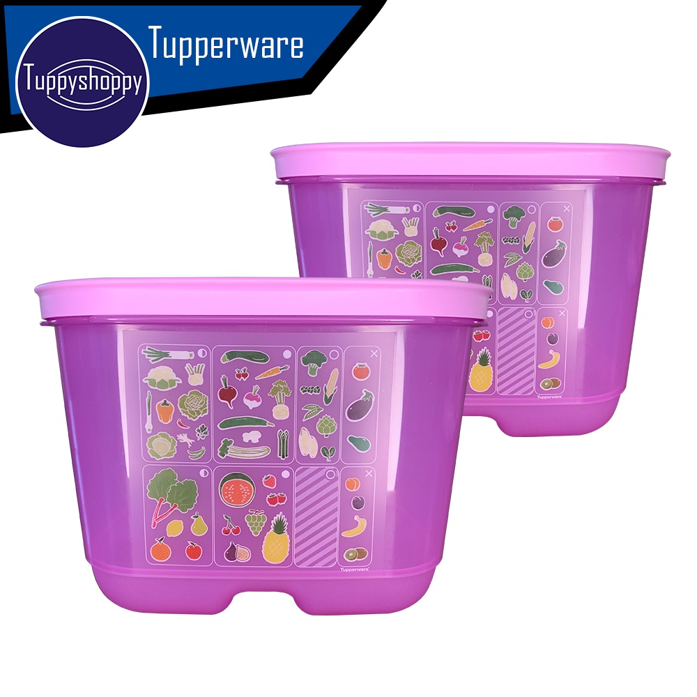 Jual TEMPAT SAYUR DAN BUAH KULKAS | VENTSMART TUPPERWARE 1Pcs | Shopee ...