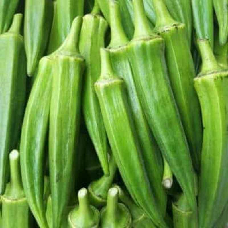 Jual Okrak/Okra Muda Pilihan 500g | Shopee Indonesia