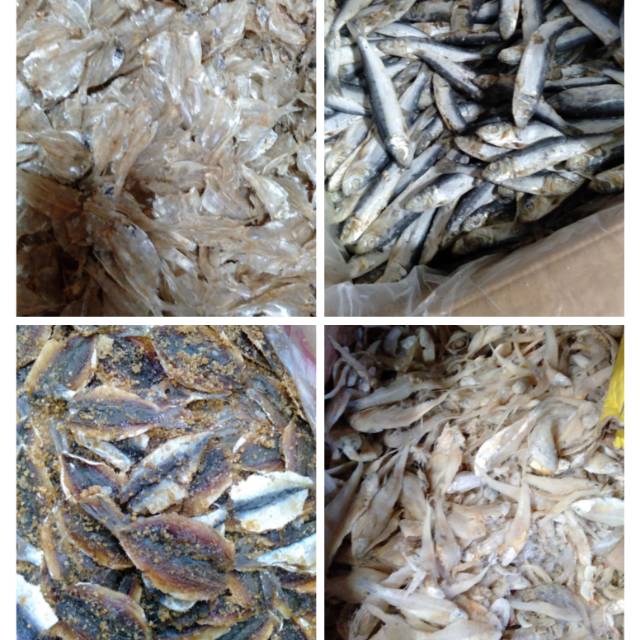 Jual Ikan Asin Gabus / Rebon / Sepat / Bulu Ayam / Dendeng / Japuh ...