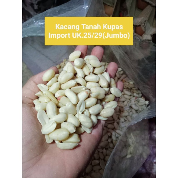 Jual Kacang Tanah Kupas Import Ukuran 25 29 Jumbo Dan 41 51 Sedang Per