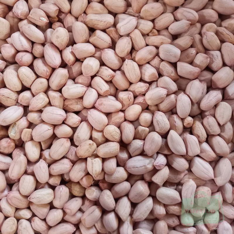 Jual Kacang Tanah Lokal Mentah Kering 500g 1kg Shopee Indonesia