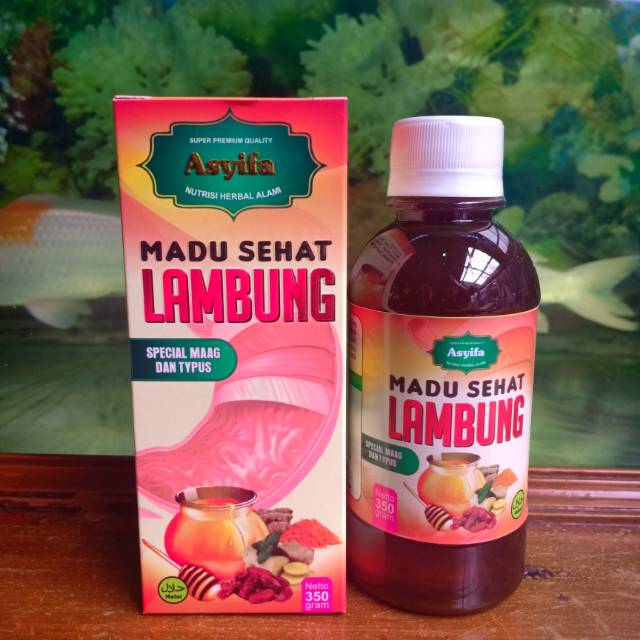 Jual Madu Sehat Lambung Asyifa Original Special Maag Dan Asam Lambung