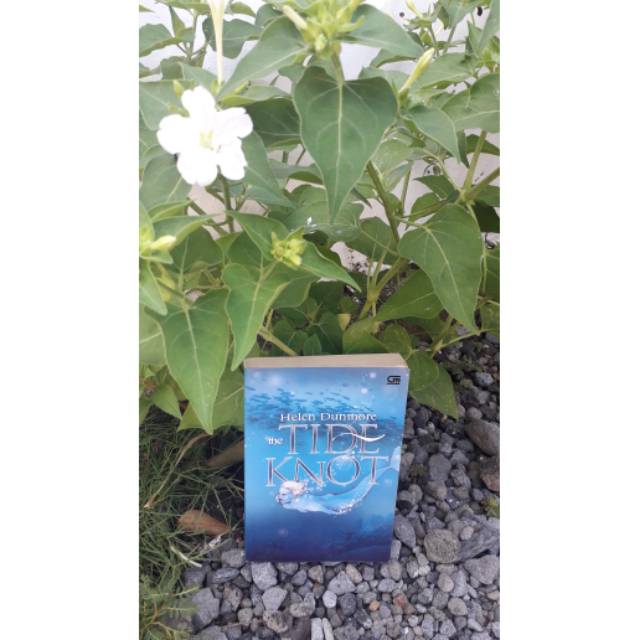 Jual novel helen dunmore the tide knot (simpul ombak) | Shopee Indonesia