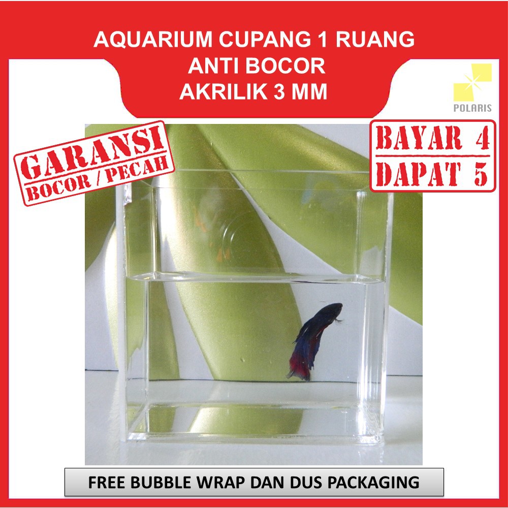 Jual AKUARIUM IKAN CUPANG AKRILIK AQUARIUM ACRYLIC IKAN HIAS SOLITER IKAN CUPANG Shopee