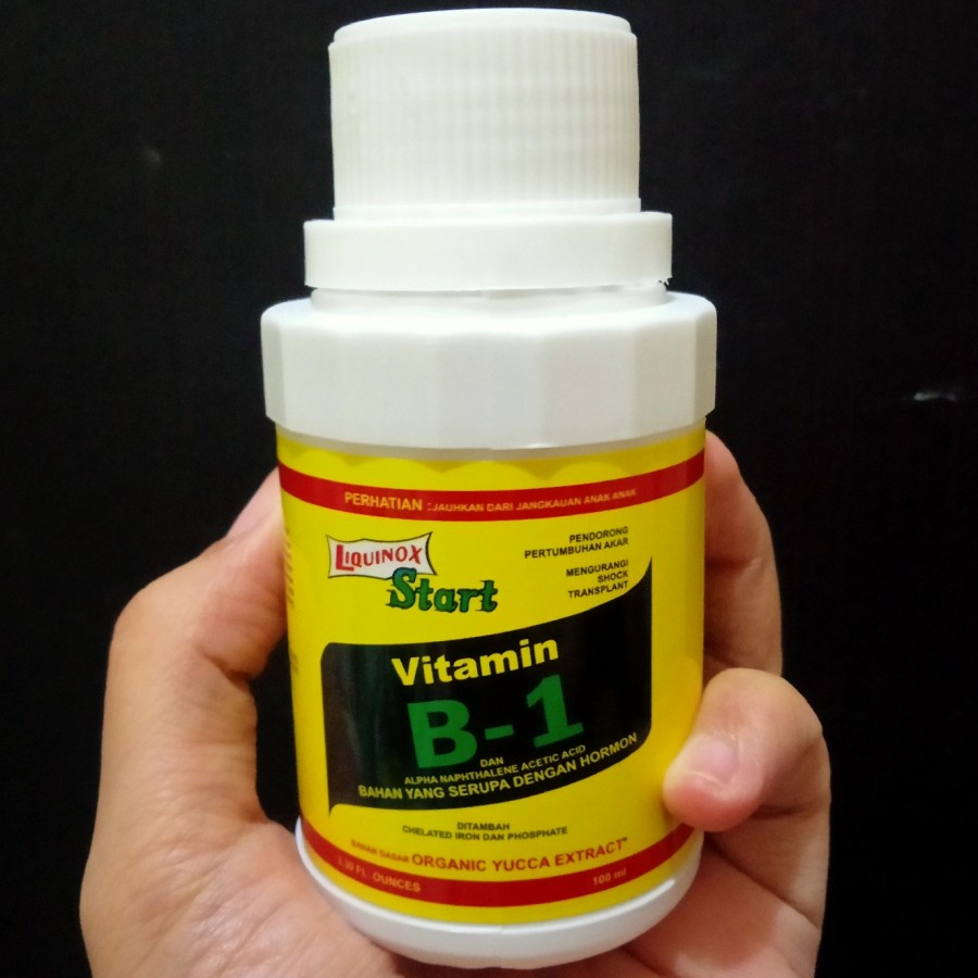 Jual Pupuk Vitamin B1 Tanaman Liquinox Vitamin Tanaman Anti Stress ...