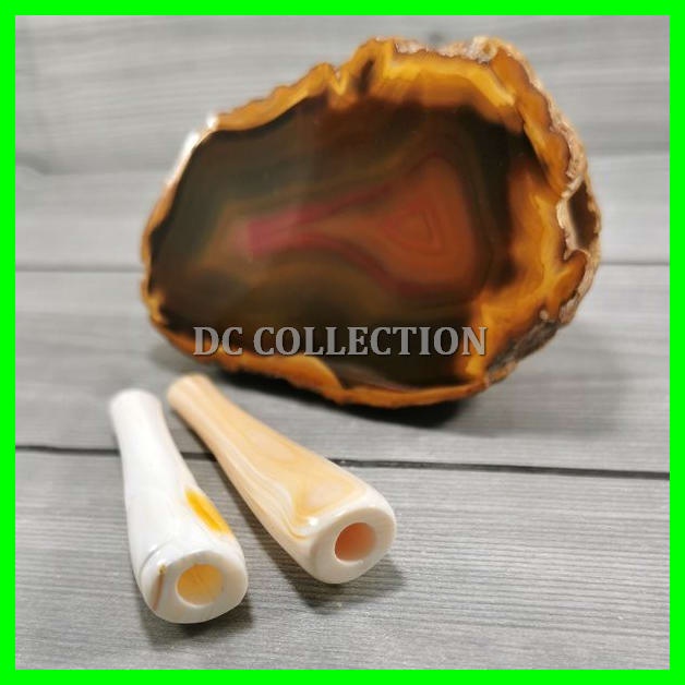 Jual Pipa Cangklong Once Kerang Pendek Asli Rasa Gurih Dan Nikmat ...