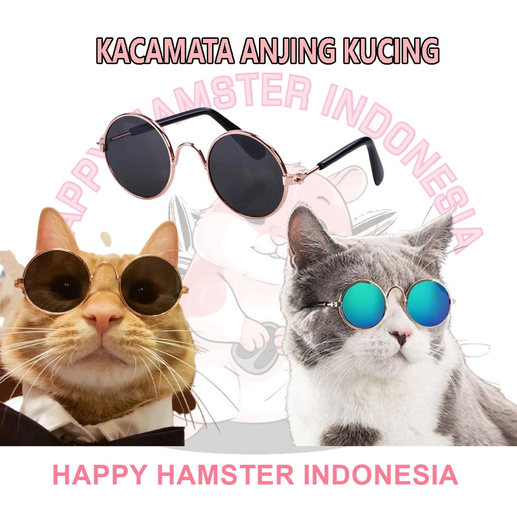 Jual [HHI] KACAMATA HEWAN KUCING PUPPY / KACAMATA KEREN / KACAMATA