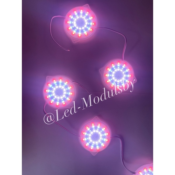 Jual Led Variasi Lentera Fireworks Cm Volt Lampu Hias Bulat Shopee Indonesia