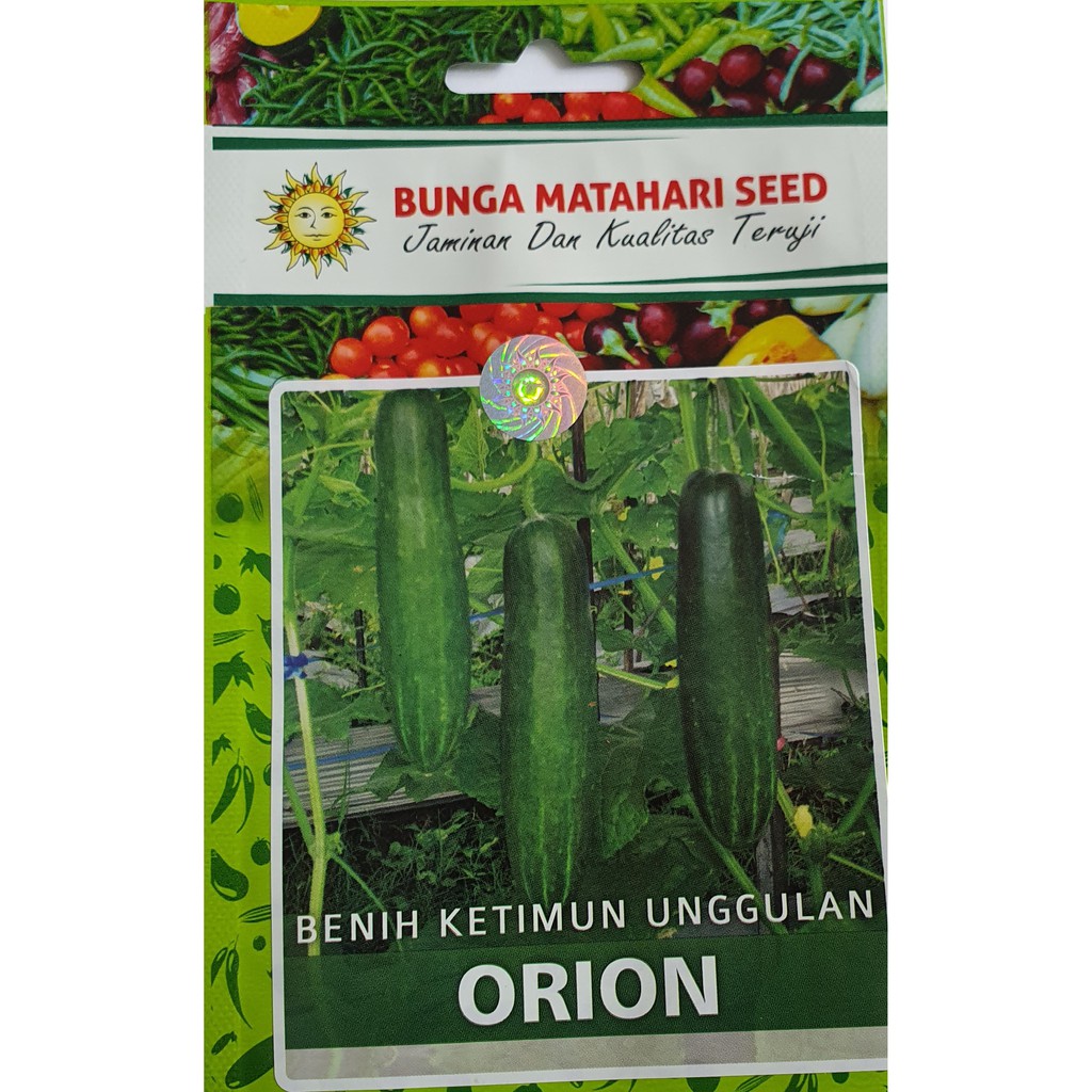 Jual Benih Ketimun Orion (Cap Bunga Matahari) 200 butir (kemasan pabrik ...