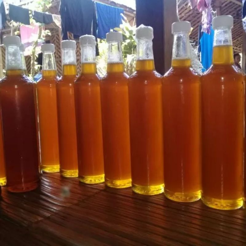 Jual madu murni hutan palembang,madu asli,madu hutan 460 ml | Shopee
