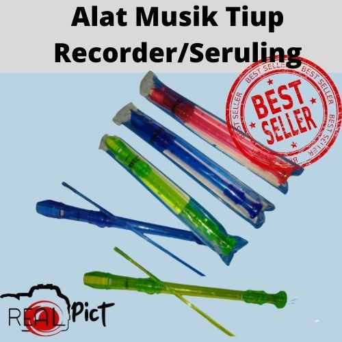 Jual Alat Musik Tiup Recorder/Seruling Warna | Shopee Indonesia