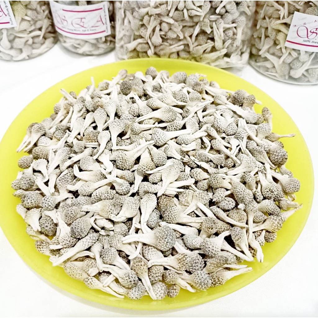 Jual 1 pcs/ 1 butir Masih UTUH Empot Ayam PUTIH Super Mpot Ayam Putih ...
