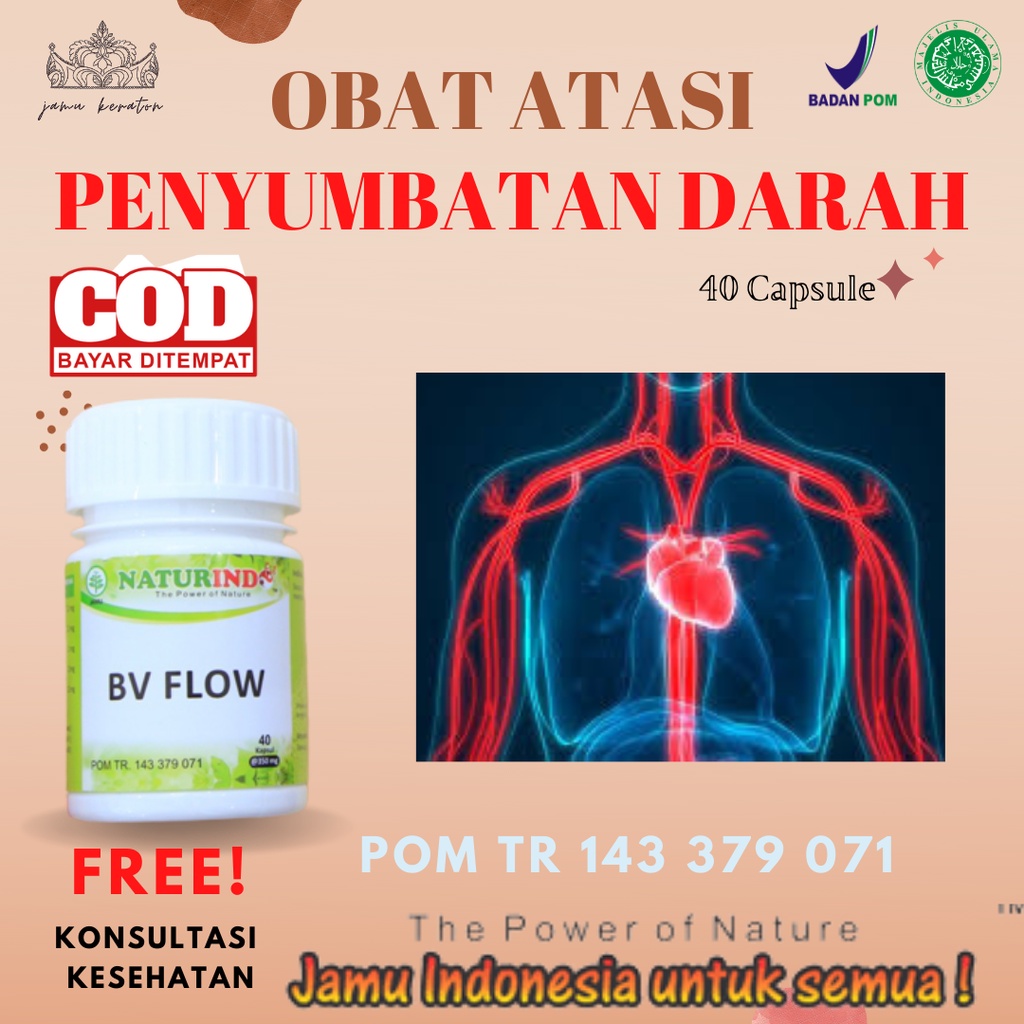 Jual Obat Penyumbatan Dalam Darah Bv Flow Herbal Shopee Indonesia