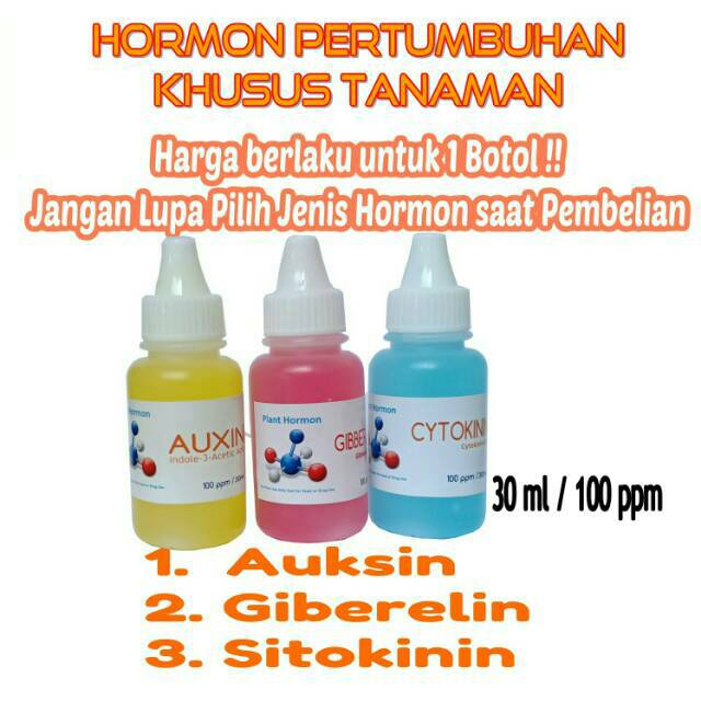 Jual Hormon Tanaman Auksin Giberelin Sitokinin 100 Ppm 30 Ml Shopee