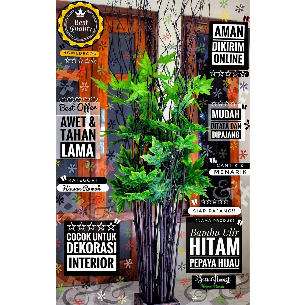 Jual bambu ulir hias 20 Btg Bambu Ulir Hitam Maple Amrik Hijau 190cm ...