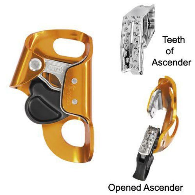 Jual PETZL Croll S chest ascender descender ascender jumar karmantel ...