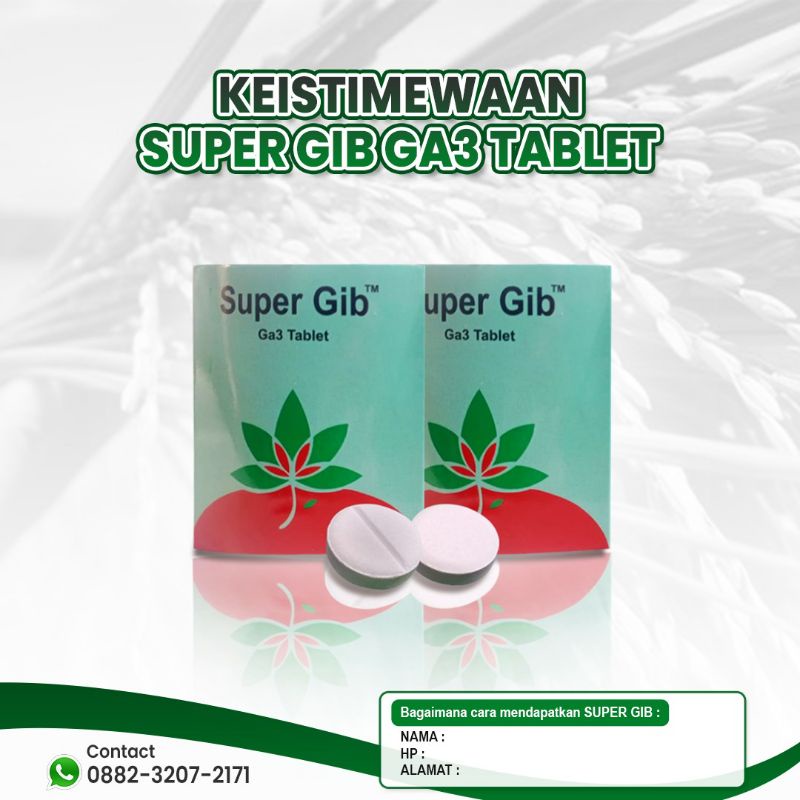 Jual ZPT ORIGINAL SUPER GIB GA3 TABLET | Shopee Indonesia