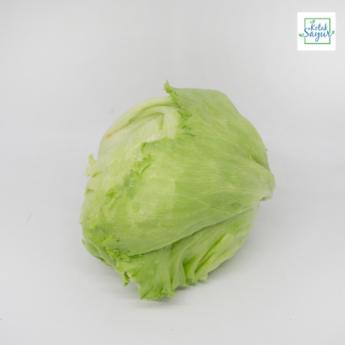 Jual Head / Iceberg Lettuce 250 gram Shopee Indonesia