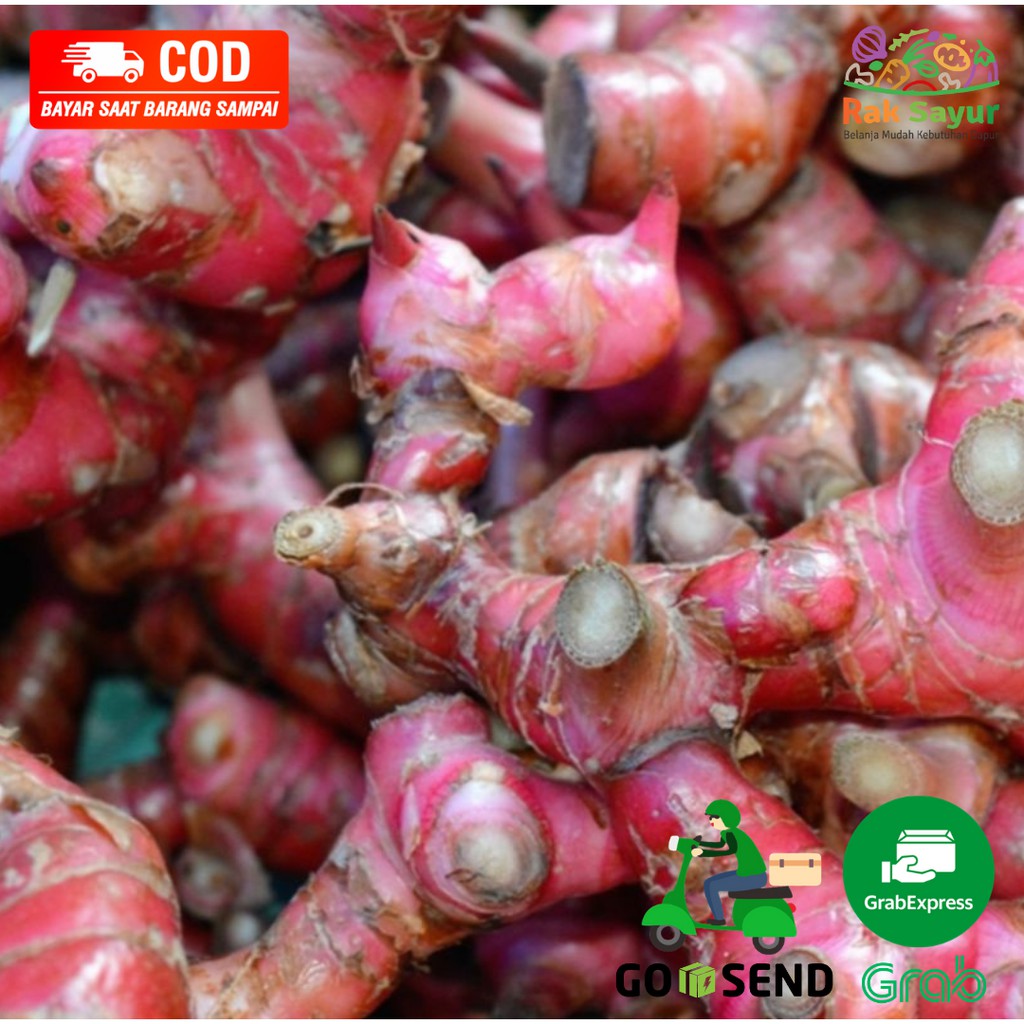 Jual Sayuran Segar Rak Sayur Padang Fresh Jahe Merah Kualitas Super ...