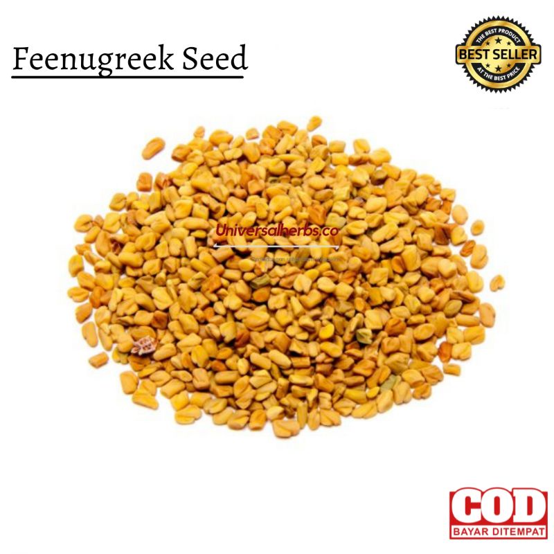 Jual Biji Halba Methi Seeds Fenugreek Hulbah Kesuburan Dan Asi