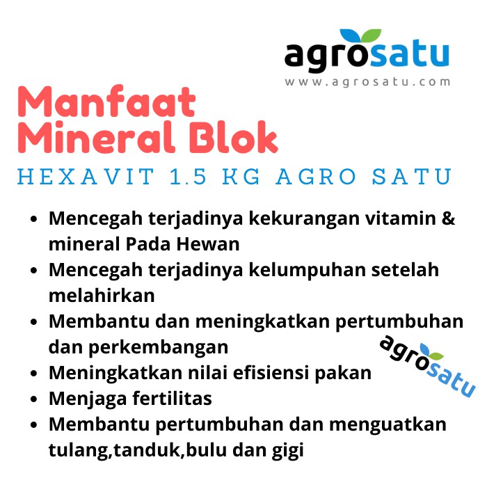 Jual Mineral Blok Hexavit 1.5Kg Garam Multivitamin Sapi Kambing Domba ...