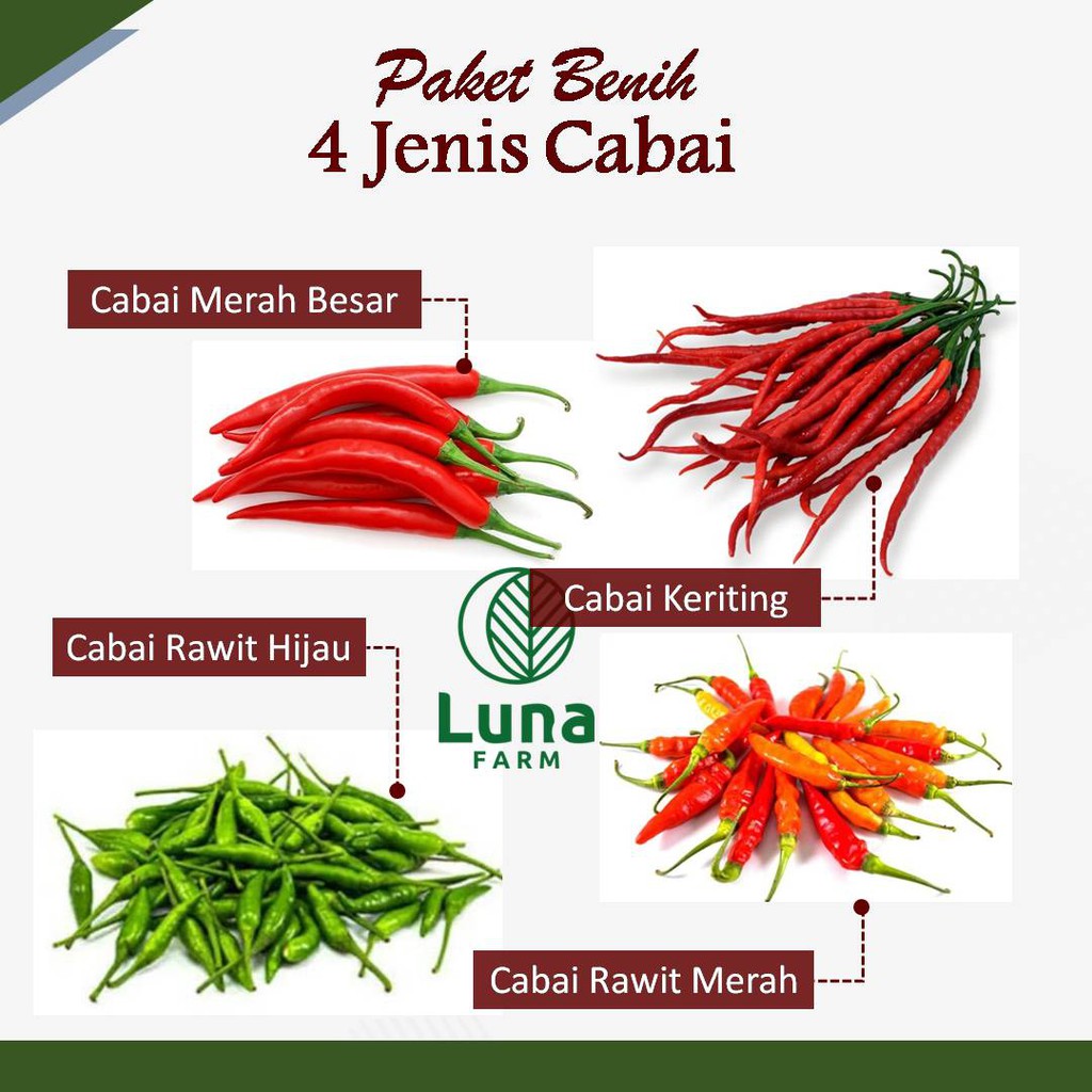 Jual Benih Cabai Paket Hemat Cabai Cabaian 4 Jenis Cabai Shopee Indonesia