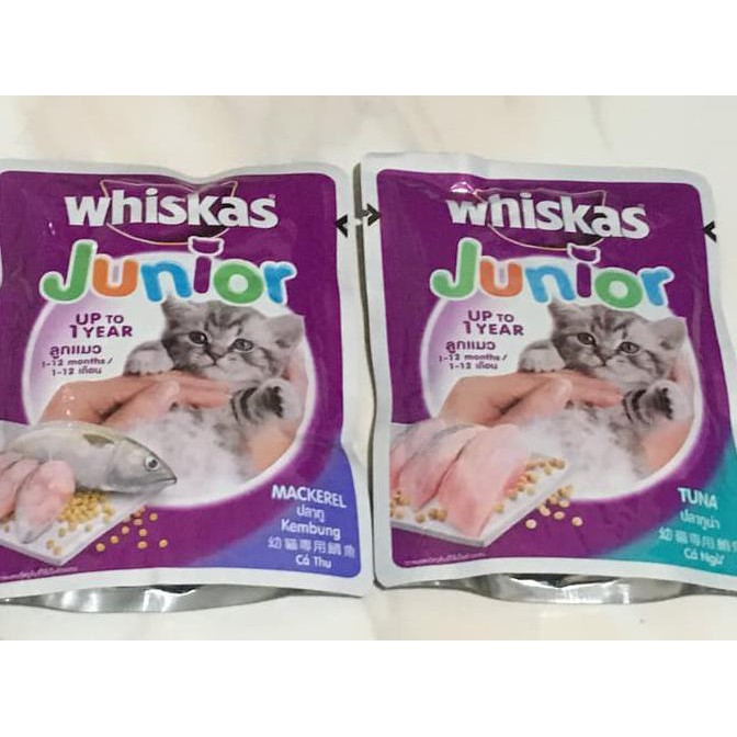 Jual Whiskas Junior 85g Wet Kitten Cat Food Makanan Anak Kucing