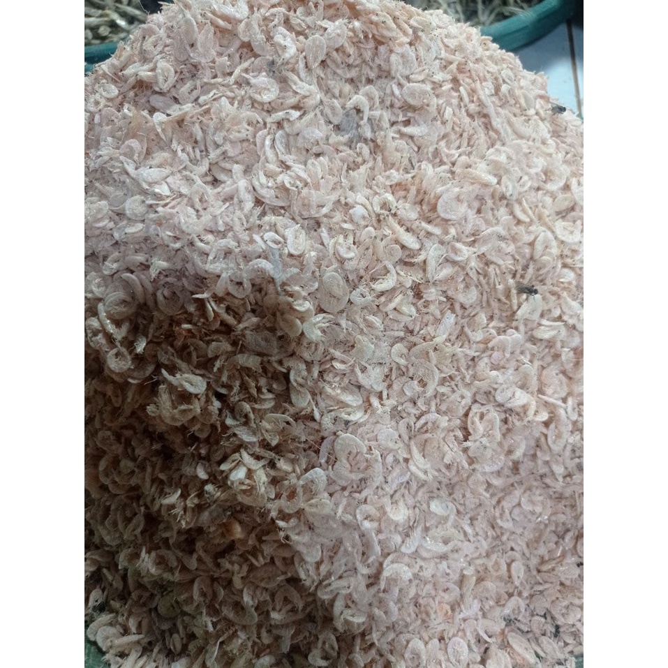 Jual Kecepe Kasar /100gr | Shopee Indonesia