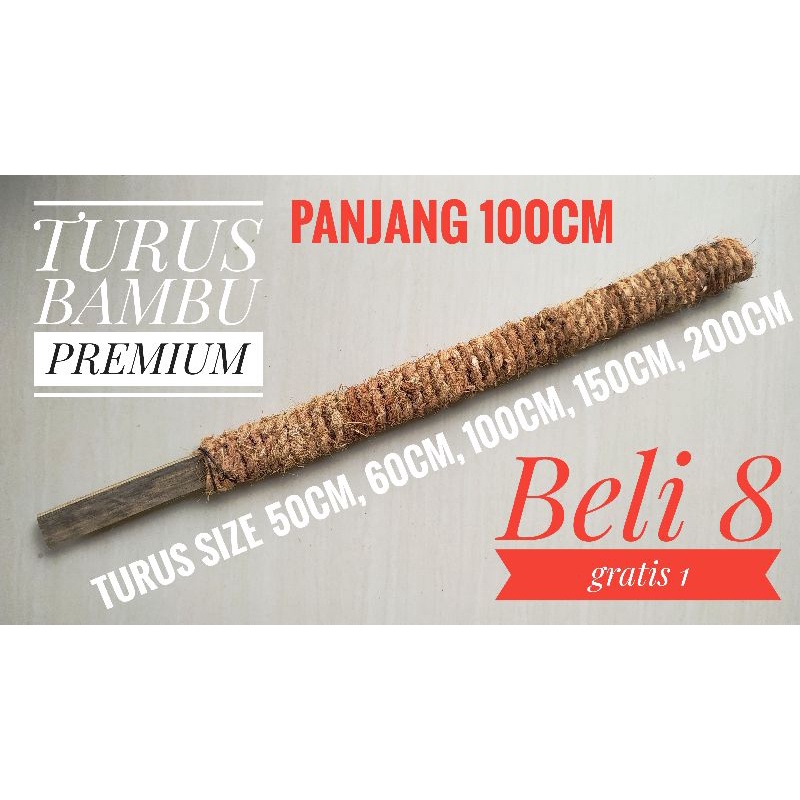 Jual Turus Penyangga Tanaman Ukuran 100cm Bambu Shopee Indonesia 8828