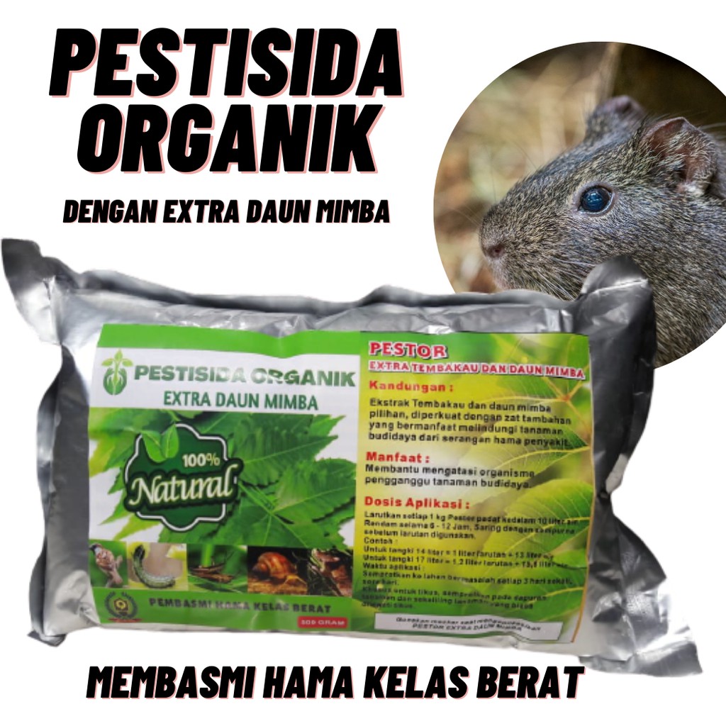 Jual Pupuk Pestisida Organik, BISA COD Pestisida Untuk Tanaman Padi ...