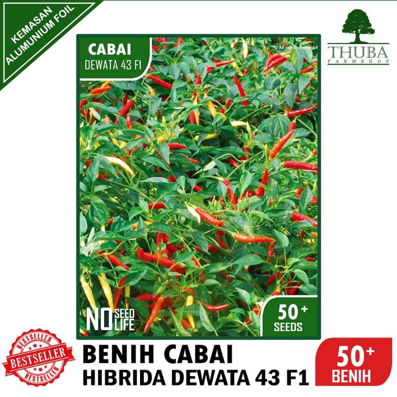 Jual Benih Cabai Rawit Hibrida Dewata F Bibit Cabe Rawit Shopee Indonesia