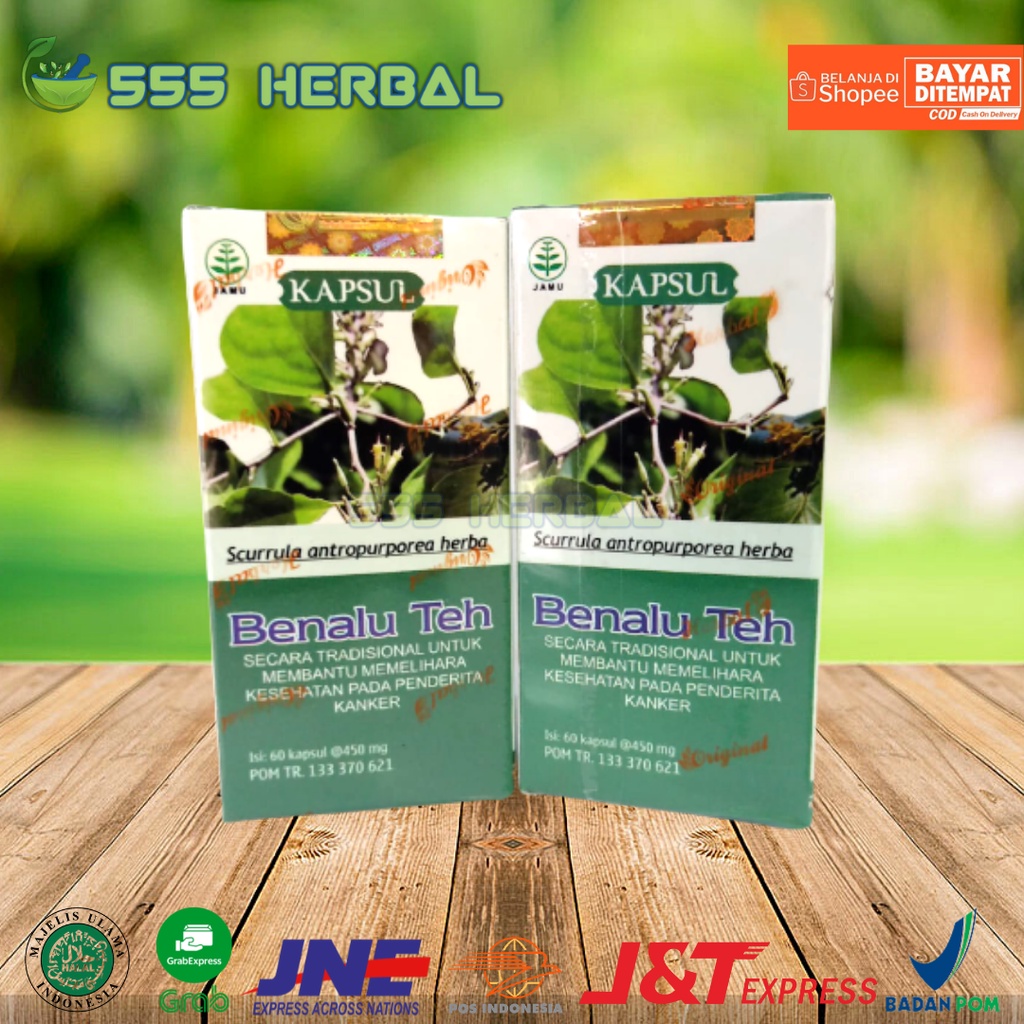 Jual Kapsul Benalu Teh Tazakka Ekstrak Obat Herbal Kanker Tumor Benjolan Miom Kista Shopee