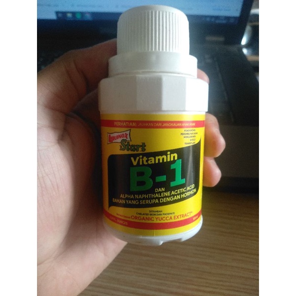 Jual Vitamin B1 Untuk Pertumbuhan Bunga Dan Buah 100ml | Shopee Indonesia