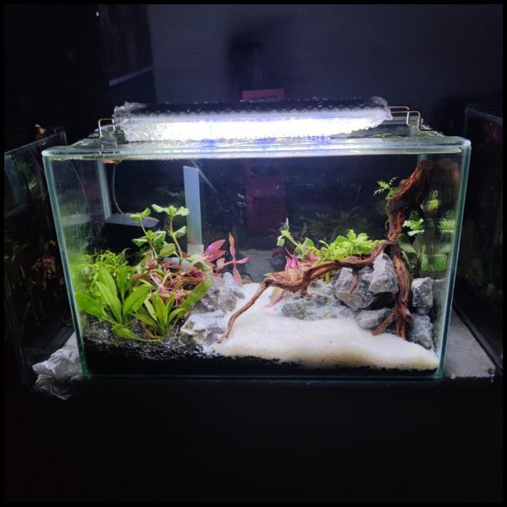 Jual Aquarium Full Set Aquascape 40 A Shopee Indonesia
